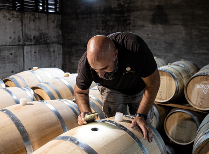 Winemaker Marcelo Laitano prueft Holzfaesser beim Weingut Pizzorno in Uruguay