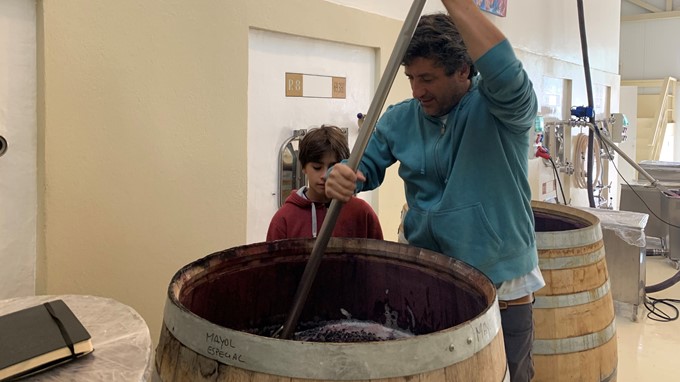 Rotwein vom Weingut Mayol in Argentinien